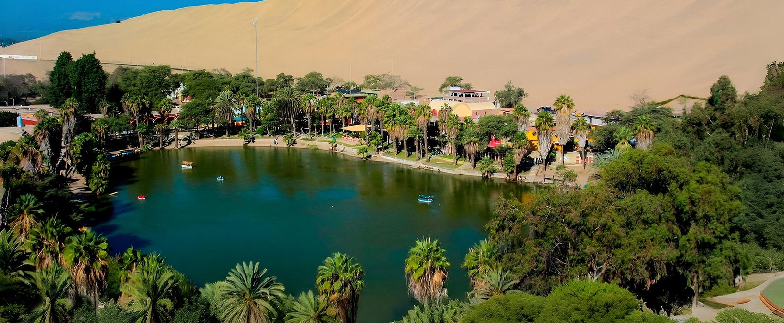Tour Paracas Ica Huacachina